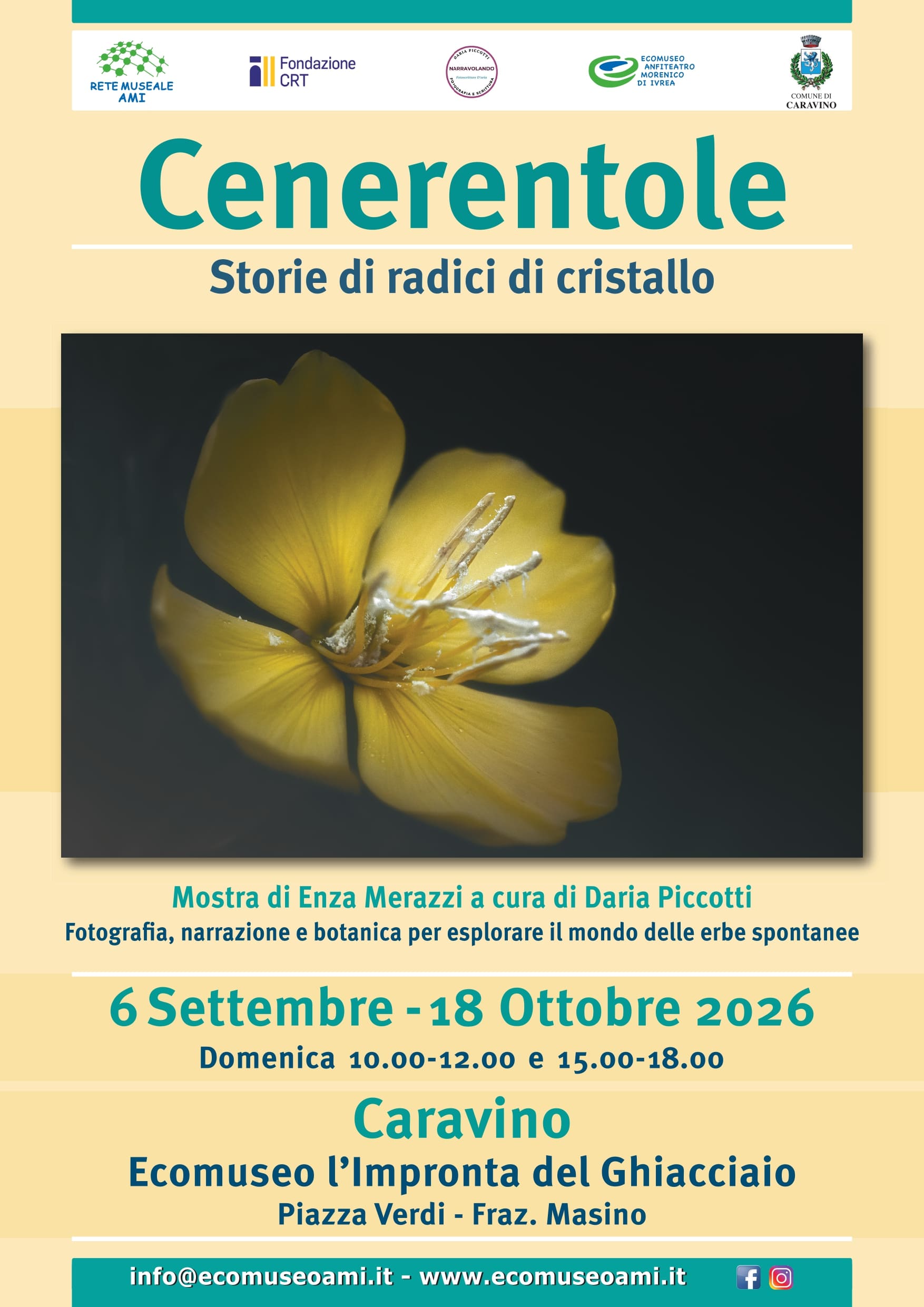 Locandina Cenerentole Caravino